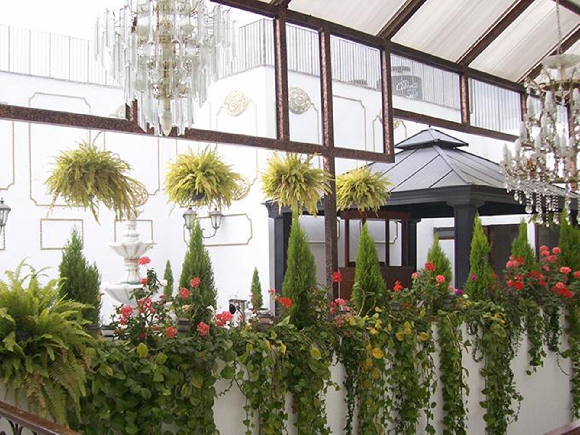 מקסיקו סיטי Casa De La Luna מראה חיצוני תמונה